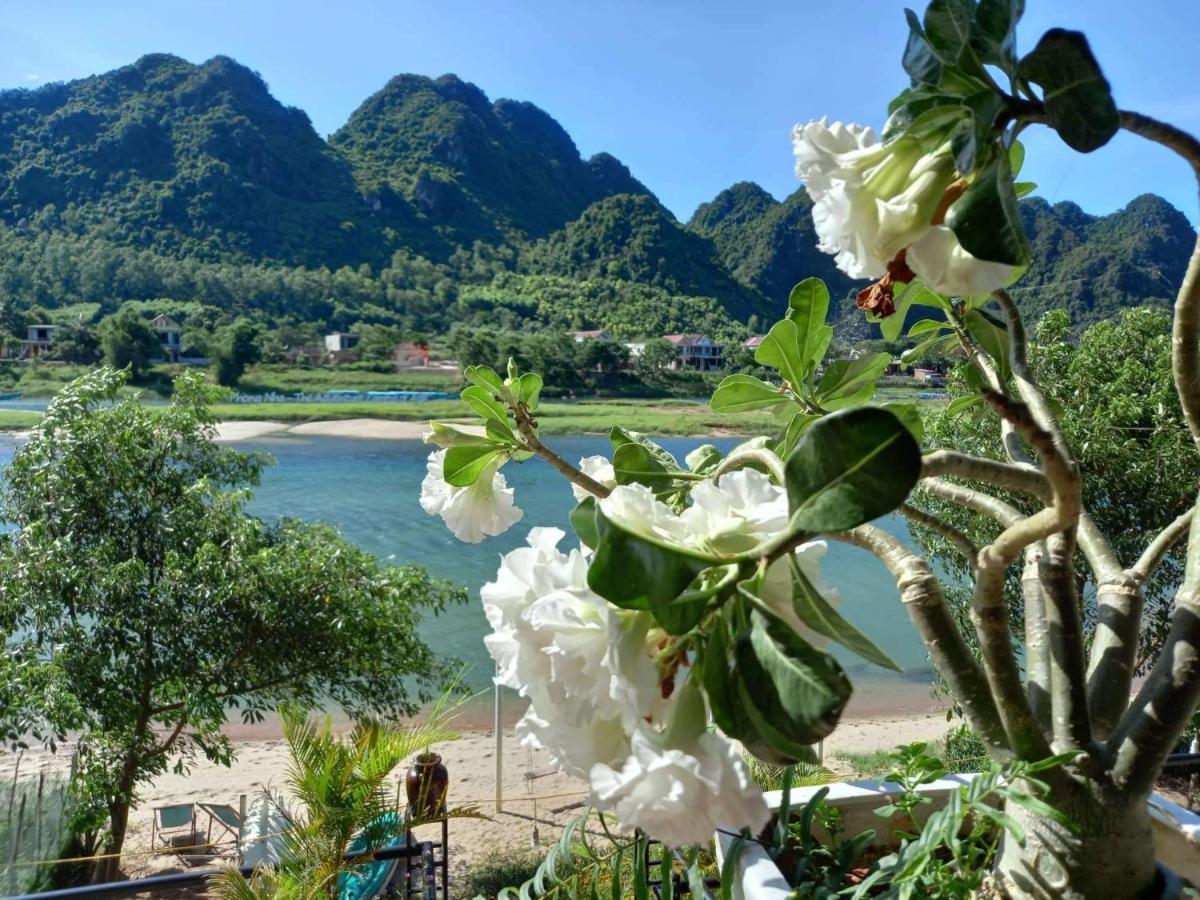 Areca Bungalow Phong Nha Extérieur photo